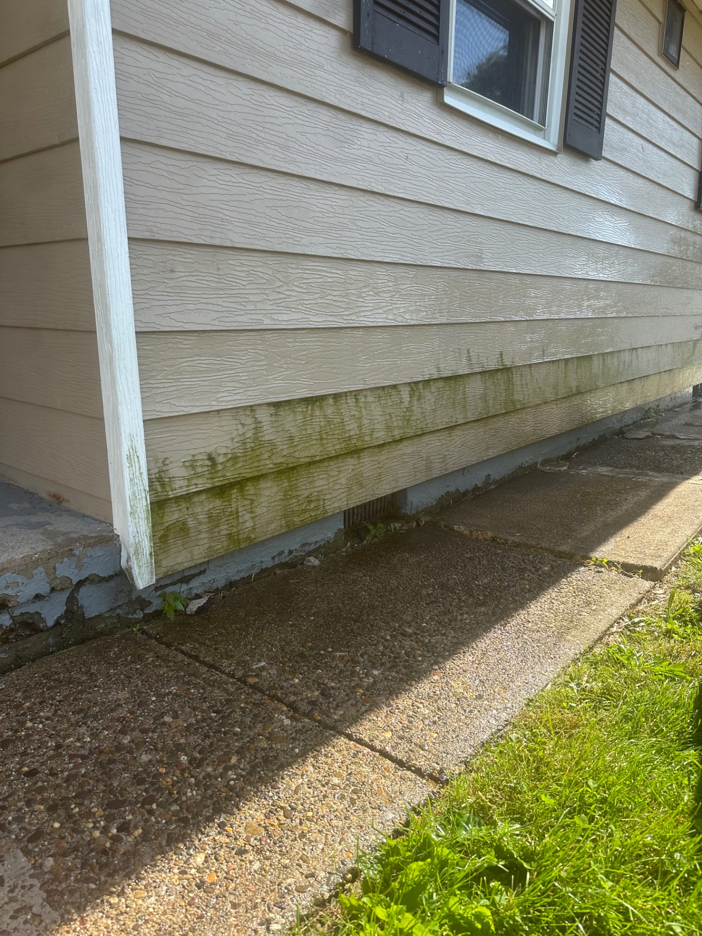 Algae-stained siding before pressure washing