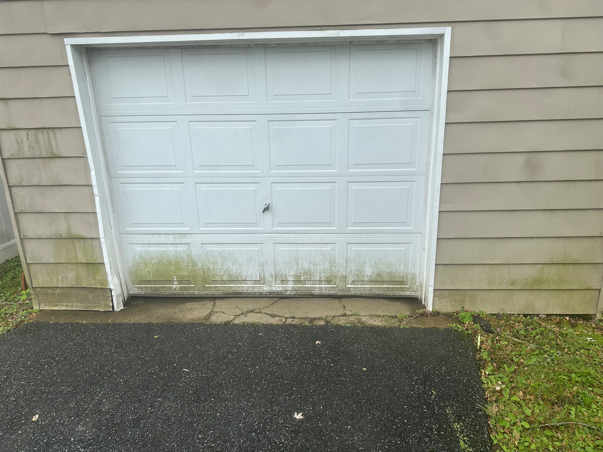 Algae-stained garage door before pressure washing