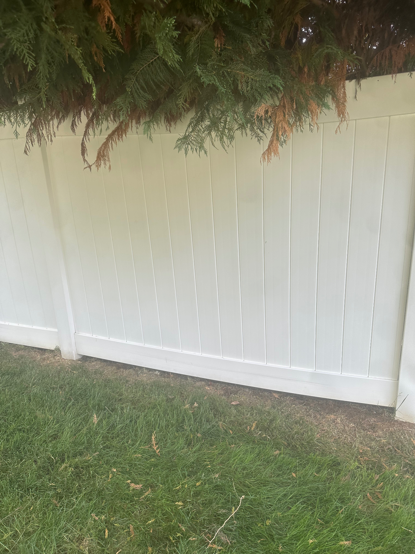 Decks & Fences
